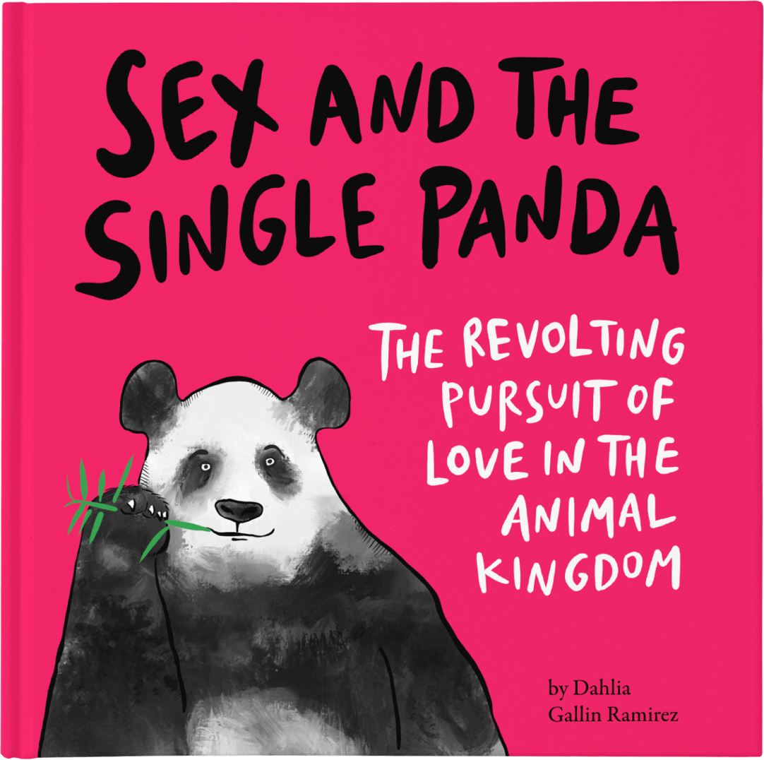 Sex and the Single Panda Book Cover